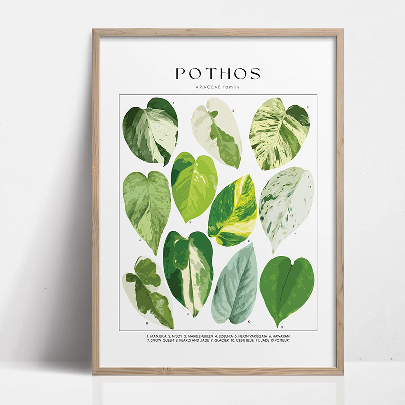 1 adet Modern Houseplants Yapr - Home Decor Design Interior incelemesi ve fiyatı