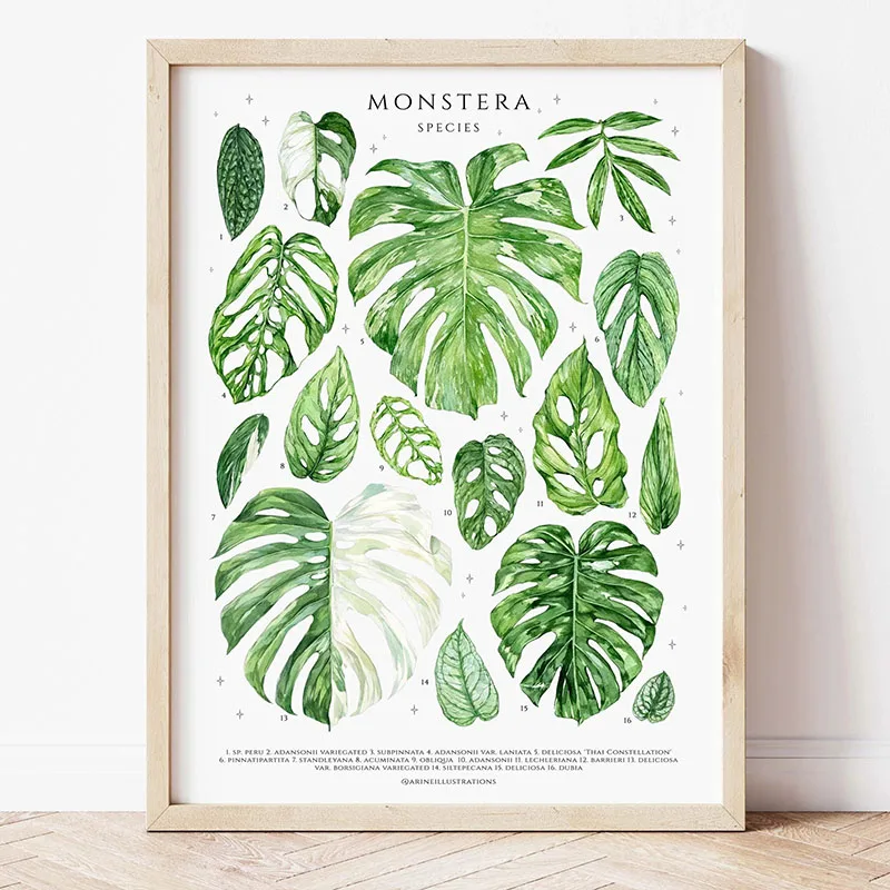 1 adet Modern Houseplants Yapr - Home Decor Design Interior incelemesi ve fiyatı