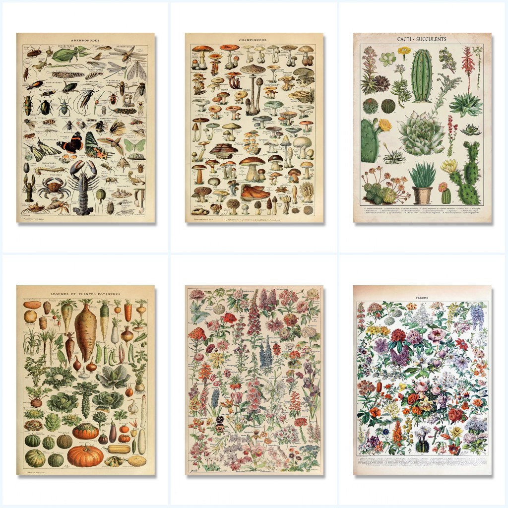 Vintage Adolphe Millot Ansiklo - Home Decor Aesthetic Pinterest incelemesi ve fiyatı